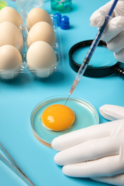 提取雞蛋食品安全農業科技食品培育攝影圖 插畫 下載至來源處