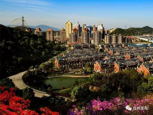 創建全國文明城市 全民共建 溫暖臺州城